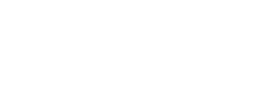 Insurance Allies